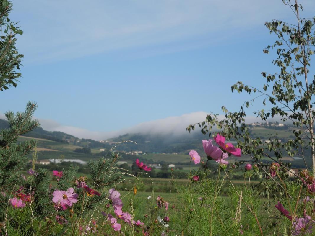 Relais De Navon Bed and Breakfast Saint-Joseph  Buitenkant foto