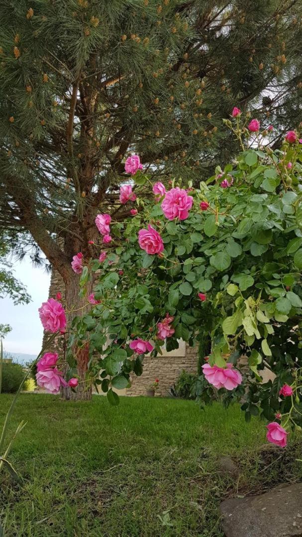 Relais De Navon Bed and Breakfast Saint-Joseph  Buitenkant foto